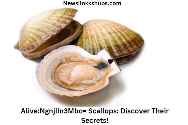 AliveNgnjlln3Mbo= Scallops Discover Their Secrets!