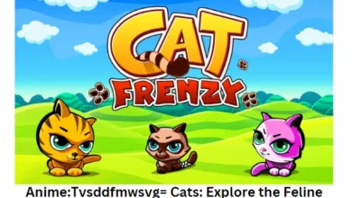 AnimeTvsddfmwsvg= Cats Explore the Feline Frenzy!