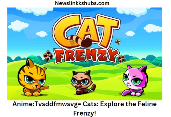 AnimeTvsddfmwsvg= Cats Explore the Feline Frenzy!