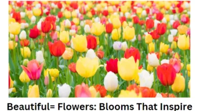 Beautiful= Flowers Blooms That Inspire