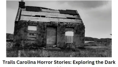 Trails Carolina Horror Stories Exploring the Dark Side